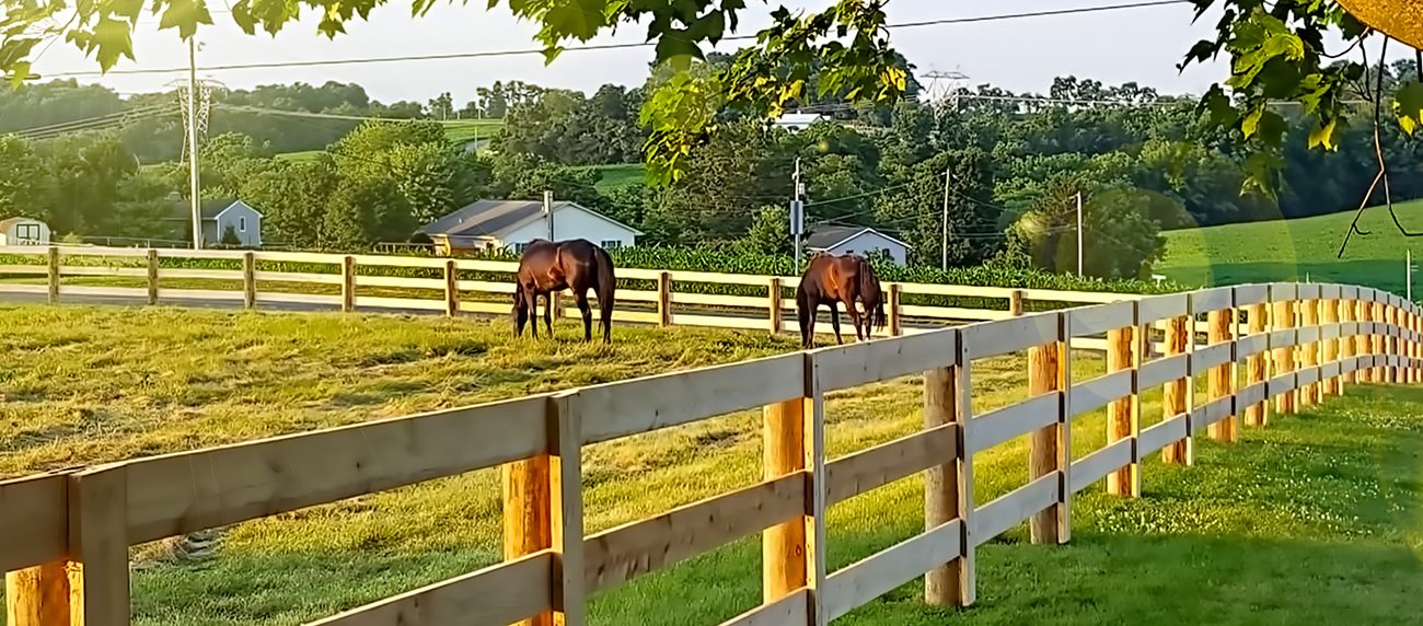 Wood rail horse fence in a pasture