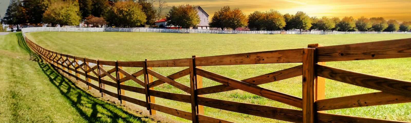 Cross-rail wood fence along a field